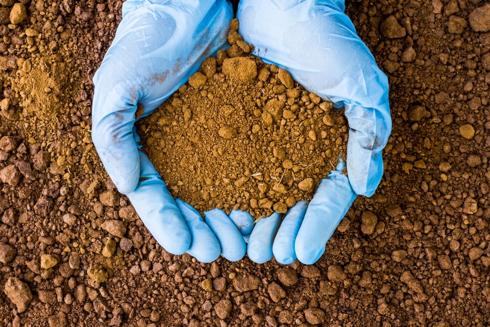 soil-testing